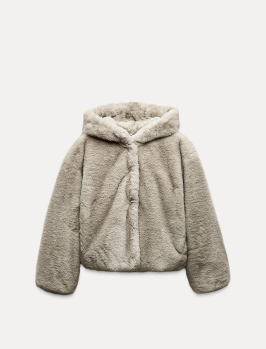 Hooded Fur Teddy Jacket